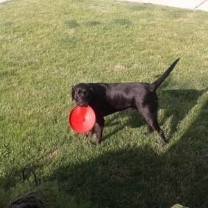 Meet your Posher, Tracy